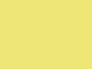 
            RAL 0959059 dynamischgelb
        