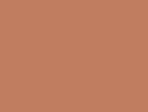 
            RAL 0506040 apricotbraun
        