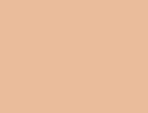 
            RAL 0608030 mildorange
        