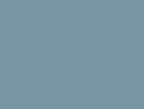 
            RAL 2306015 silbertannenblau
        