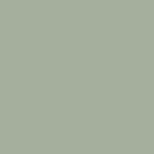 
            RAL 1307010 sanfter salbei
        